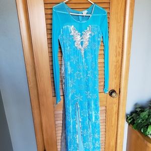 SOLD Adult Elsa Dreamgirls Costume and Wig
